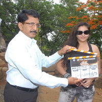 Namitha's Sukra movie opening stills | Picture 50091